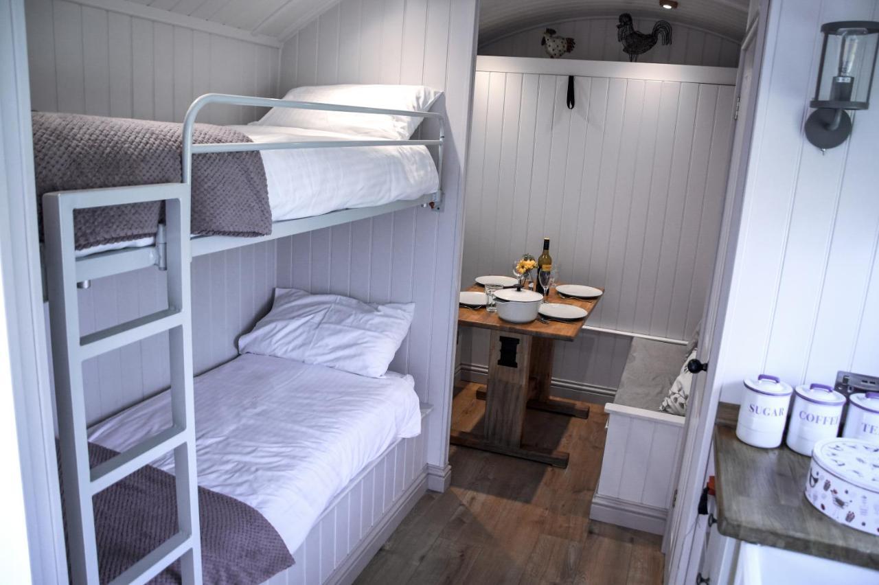 Dawn Chorus Holidays 3*
