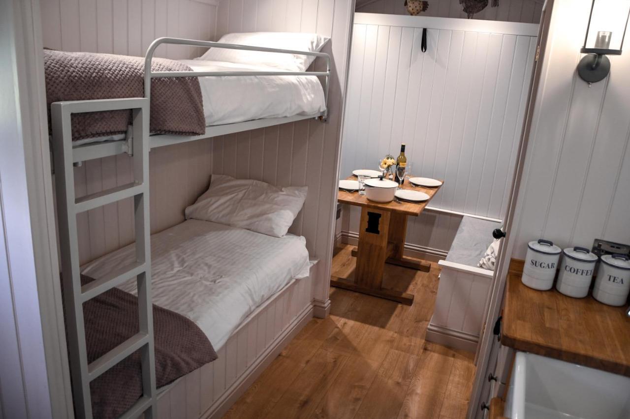 Dawn Chorus Holidays 3*