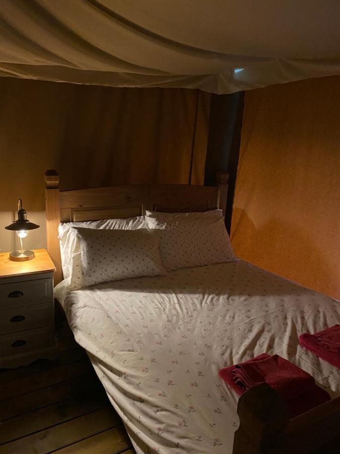 Dawn Chorus Holidays 3* Beccles