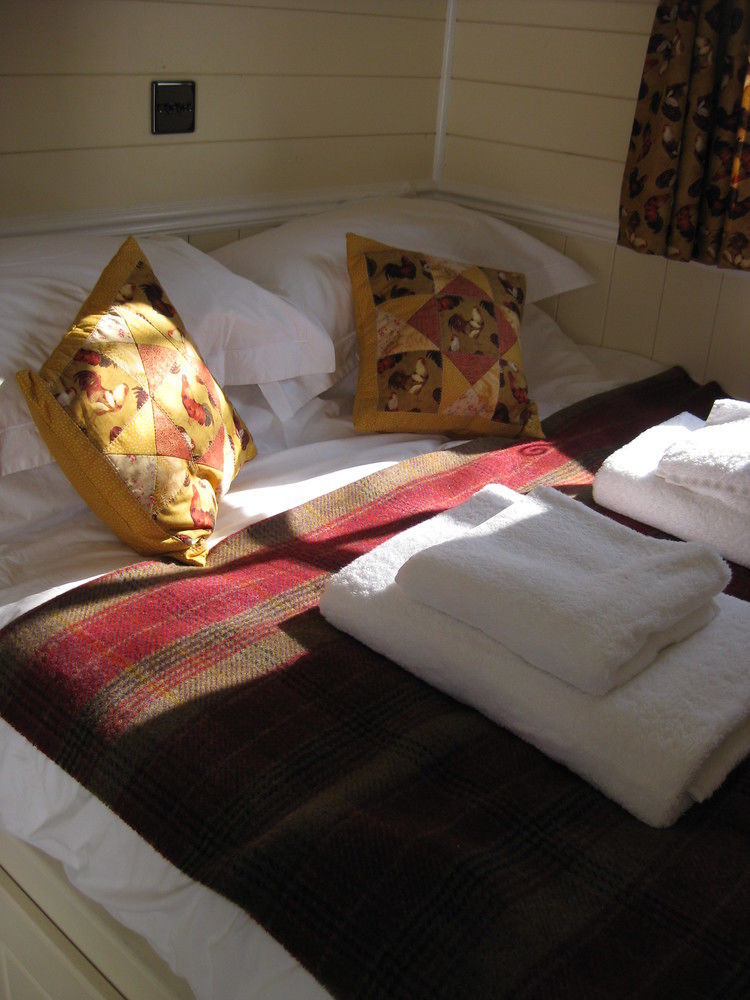 Luxe tent Dawn Chorus Holidays