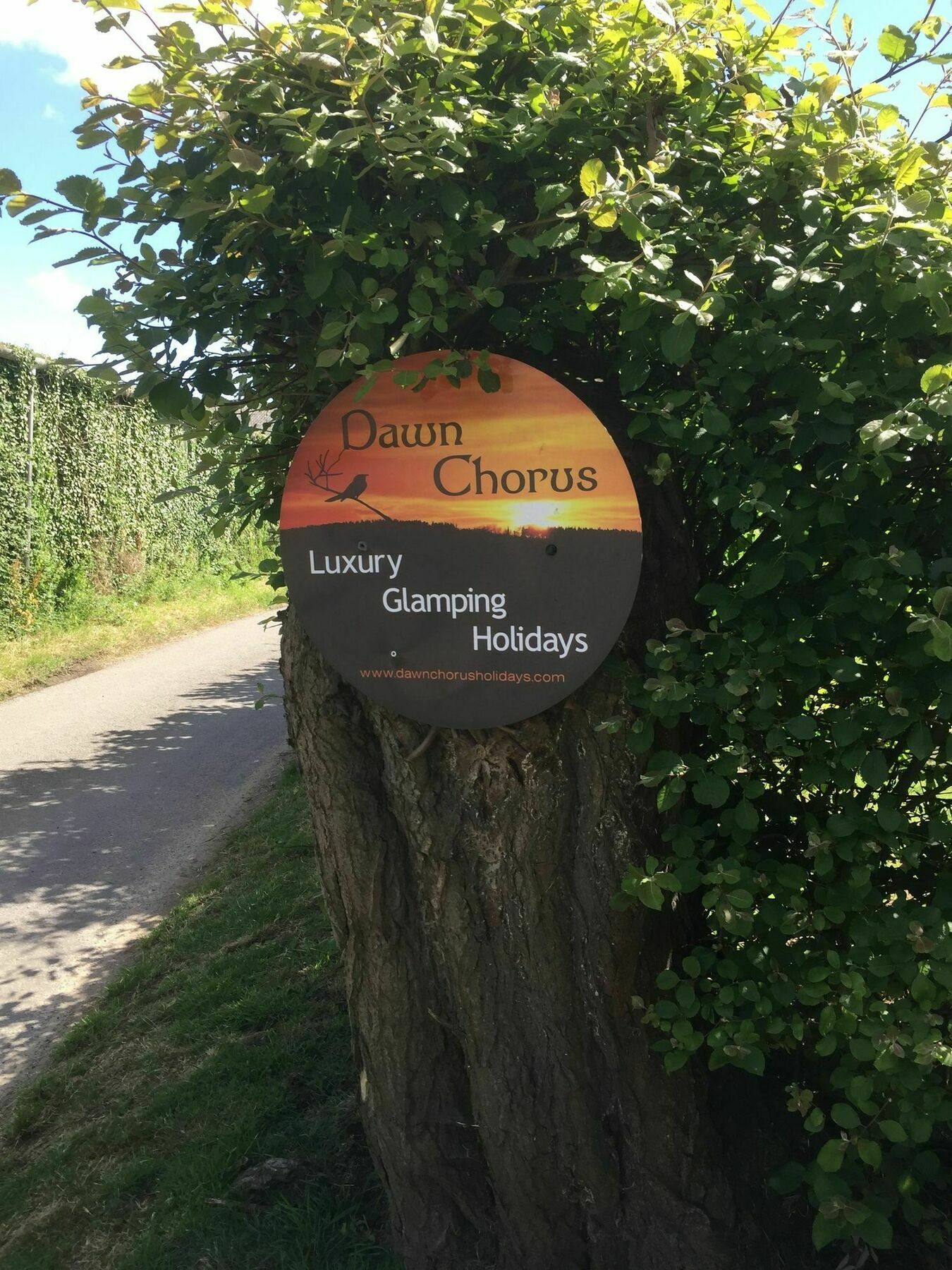 Dawn Chorus Holidays Luxe tent 3*